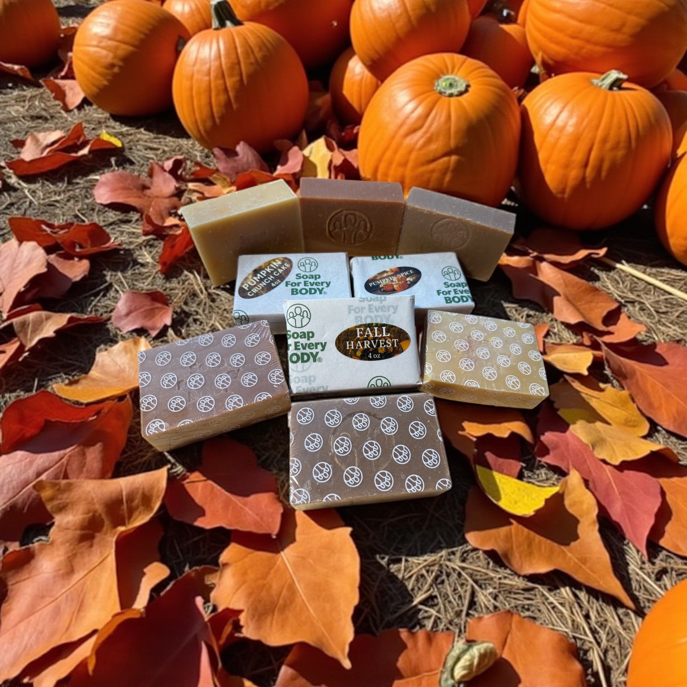 Seasonal Fall Collection