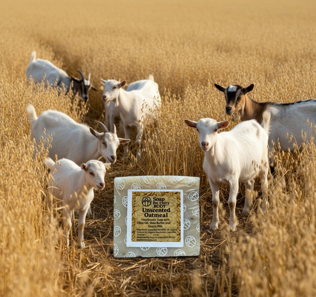 Unscented Oatmeal Soap Bar · 4 oz