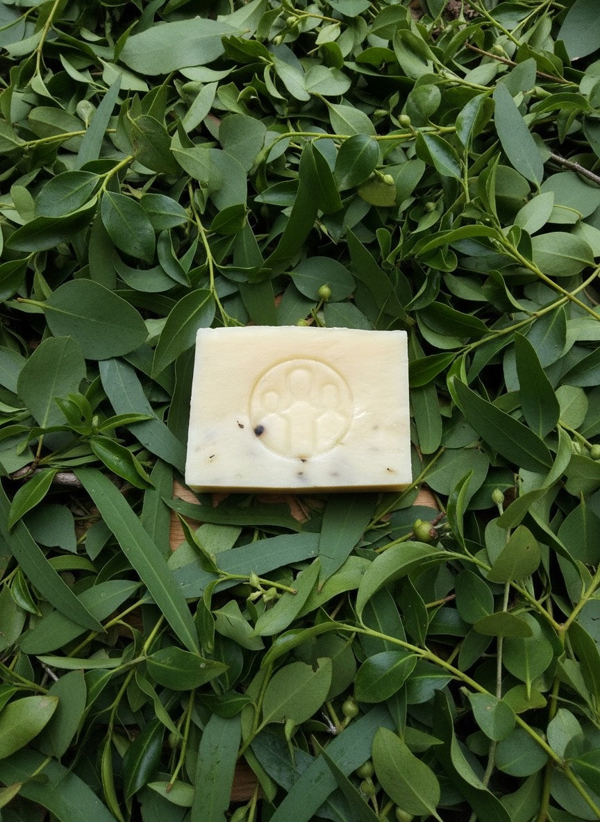 Eucalyptus Tea Tree Soap Bar · 3 oz