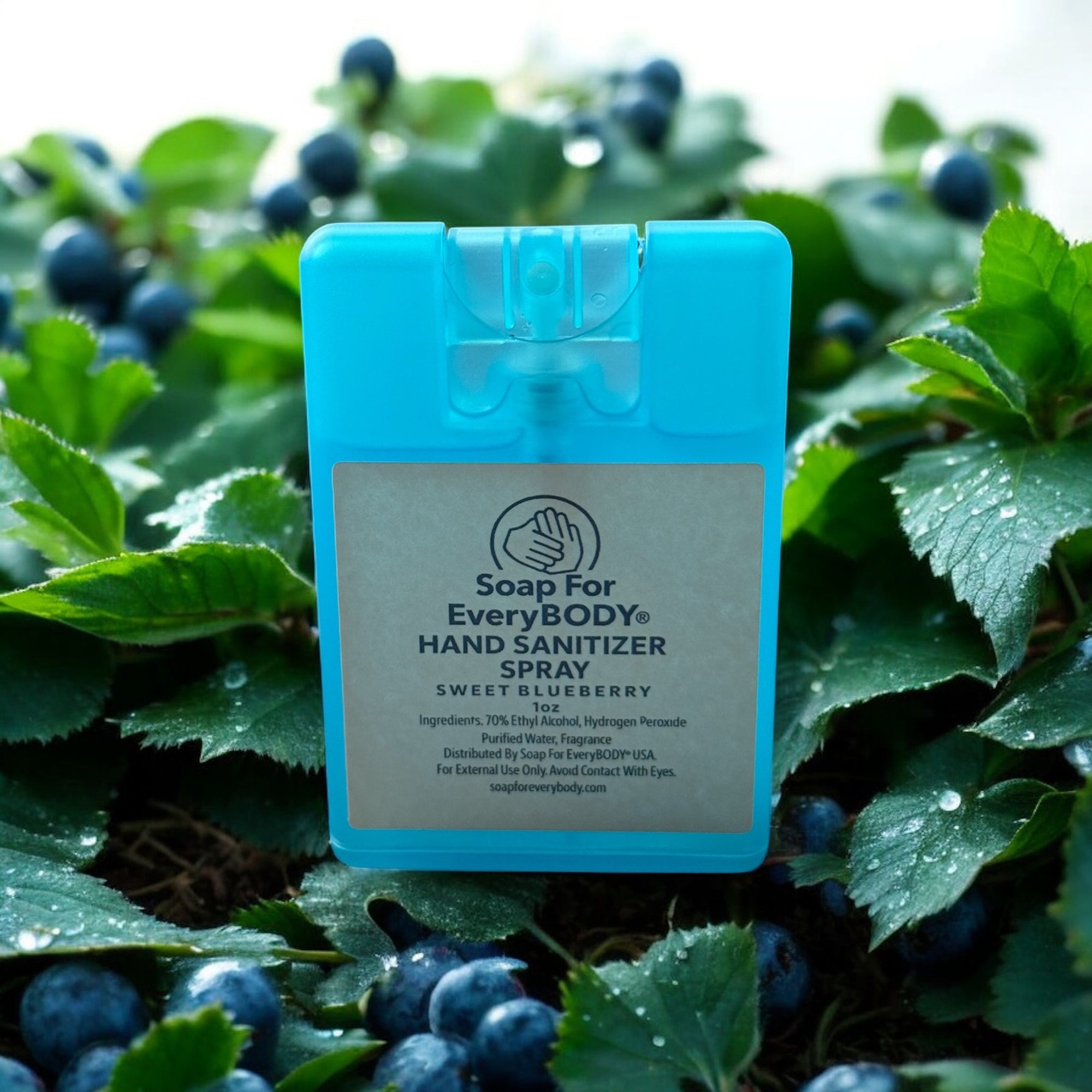Liquid Hand Sanitizer Spray · Sweet Blueberry Pocket · 1oz