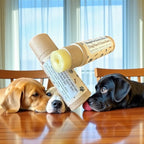 Calendula Paw & Snout Balm